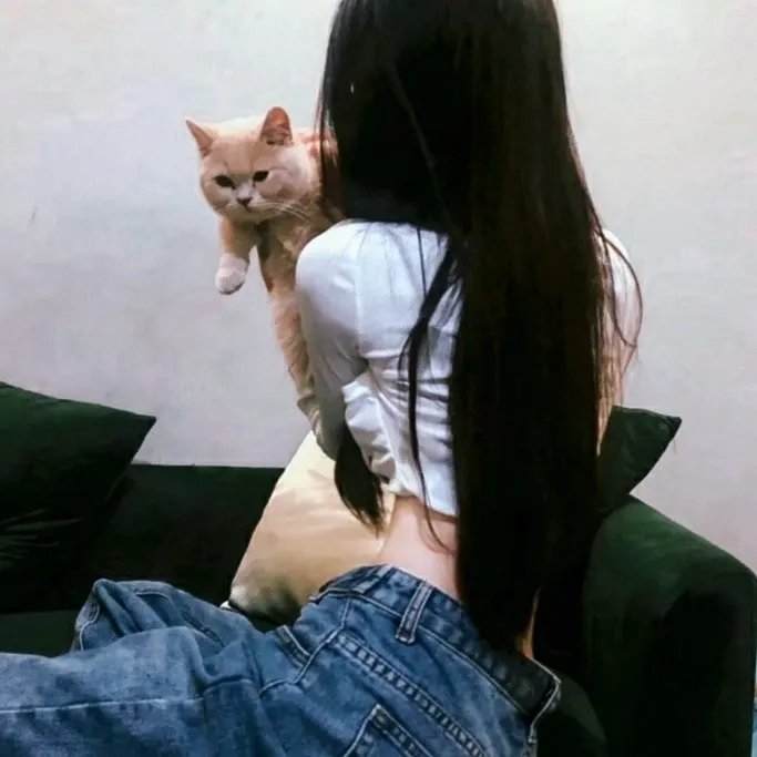 长毛狗